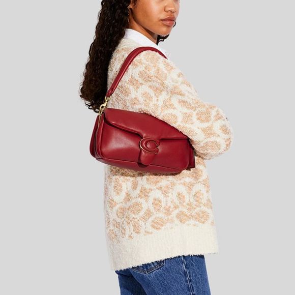 RETAIL Coach Pillow Tabby 26 - Picture 10 of 16